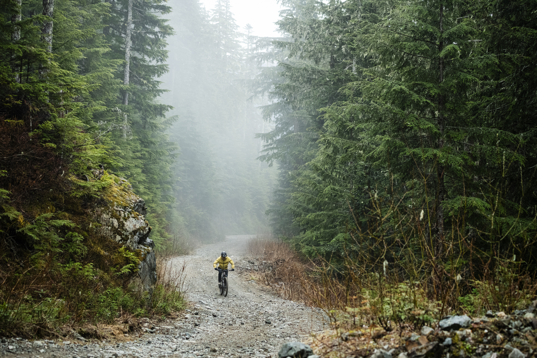 Cycling in nature – performance, endurance and authenticity